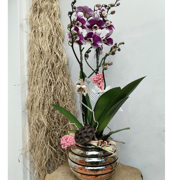  Antalya Çiçekçiler Özel Cam Vazoda Premium İthal Orkide-zc406