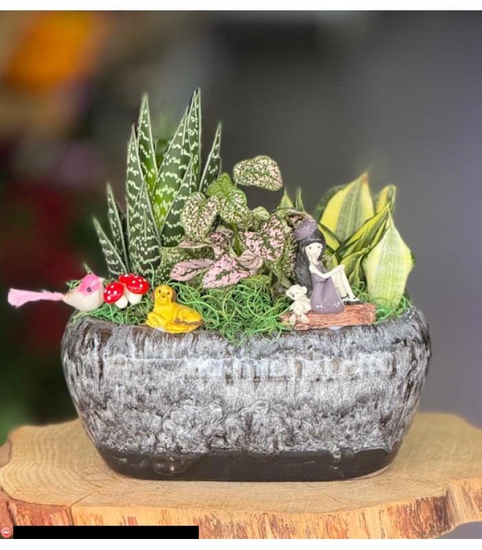 Terraryum Arajman-zc175