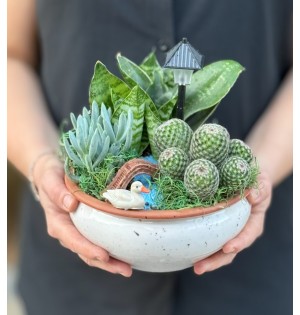Terraryum Arajman-zc229