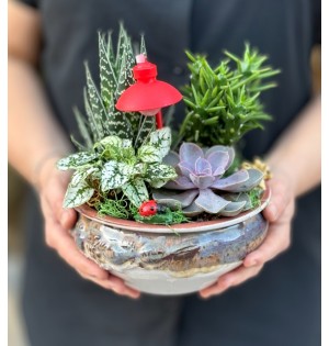 Terraryum Arajman-zc228