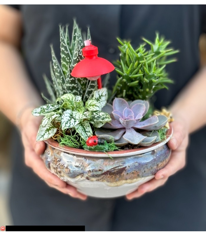 Terraryum Arajman-zc228
