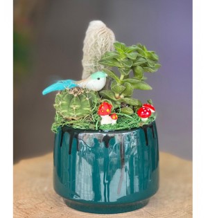 Terraryum Arajman-zc171