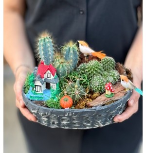 Terraryum Arajman-zc180