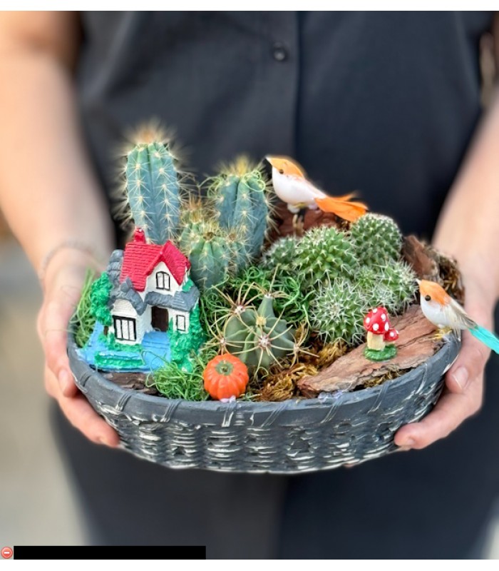 Terraryum Arajman-zc180