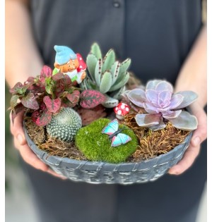 Terraryum Arajman-zc179