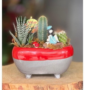 Terraryum Arajman-zc172