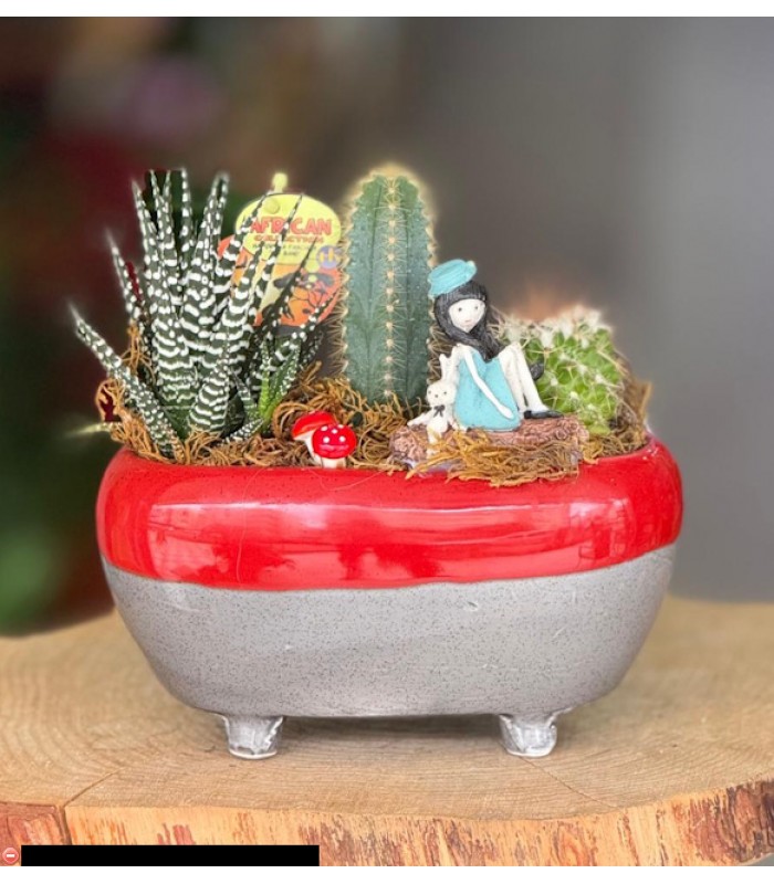 Terraryum Arajman-zc172